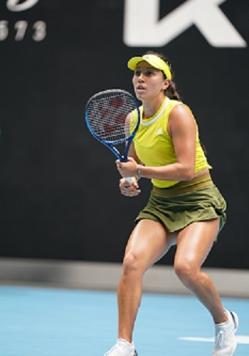 历史的领域 历史的领域