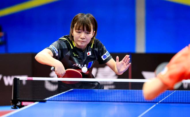 独行侠新秀 独行侠新秀