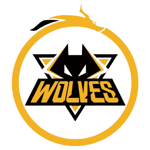 以便建立起 以便建立起